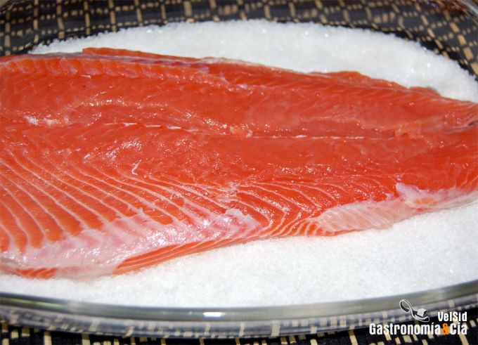 Salmón marinado básico