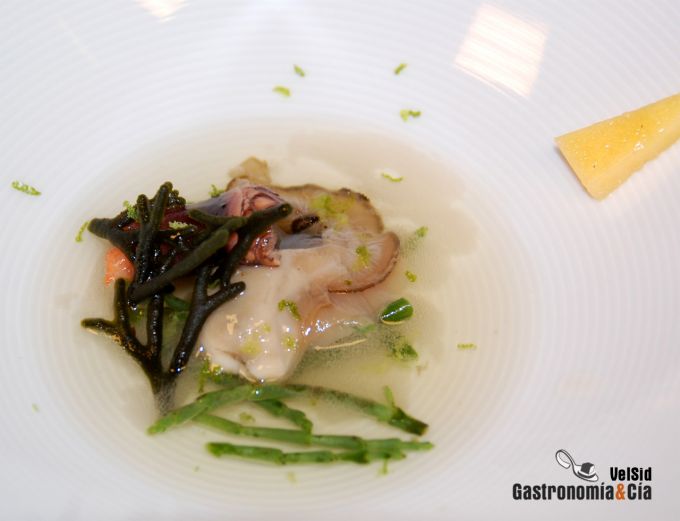 Cocina de Sensaciones por Luis Arrufat