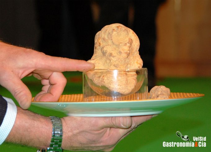 Subasta de trufa blanca