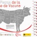 Categorías de la carne de vacuno