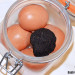 Cómo aromatizar huevos con trufa negra (Tuber melanospo