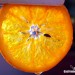 Naranja confitada