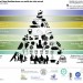 Pirámide de la Dieta Mediterránea