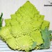 Romanescu