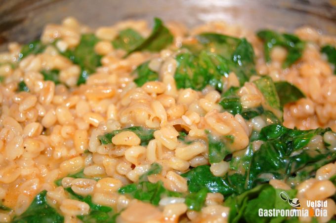 Receta de Trigo tierno con espinacas y queso tetilla