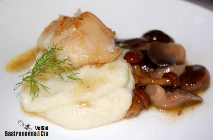 Vieira con coliflor trufada y setas saletadas