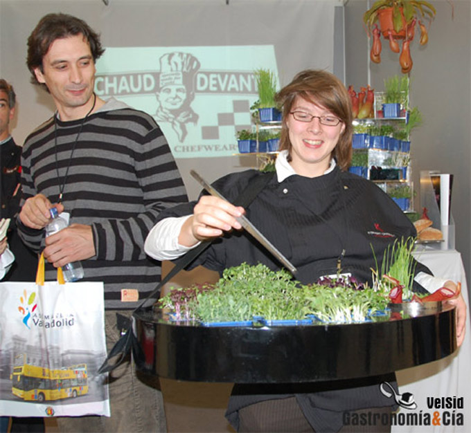 Tipos de germinados Koppert Cress B.V