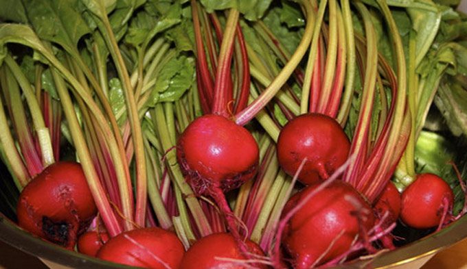 Beneficios del zumo de remolacha