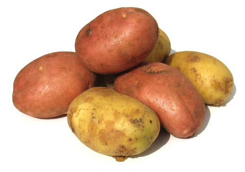 patatas_amflora.jpg