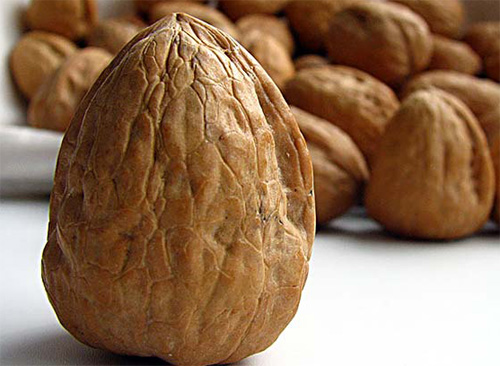 resveratrol_nueces_protecci.jpg