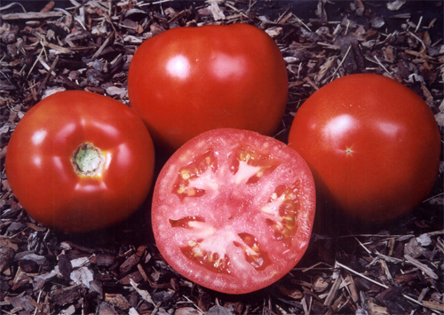 tomates_prevencion_cancer.jpg