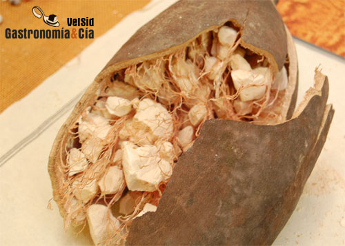 Baobab pulpa desecada