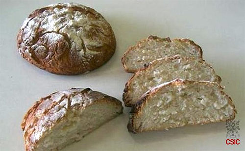 Pan elaborado con harina de arroz