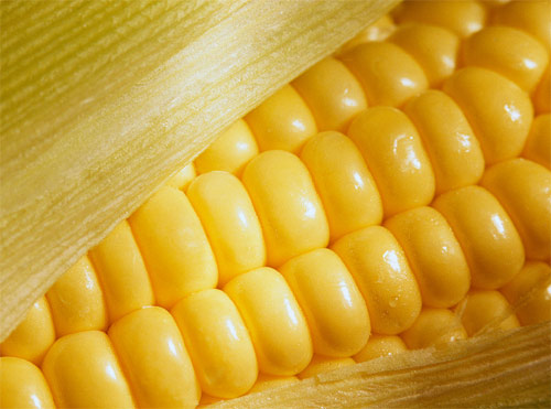 Crecimiento de Monsanto