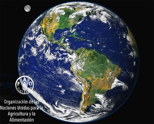 FAO