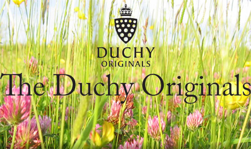 Príncipe Carlos de Inglaterra