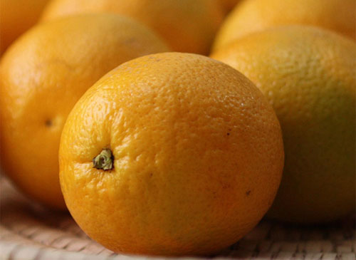 Cítricos con precio justo