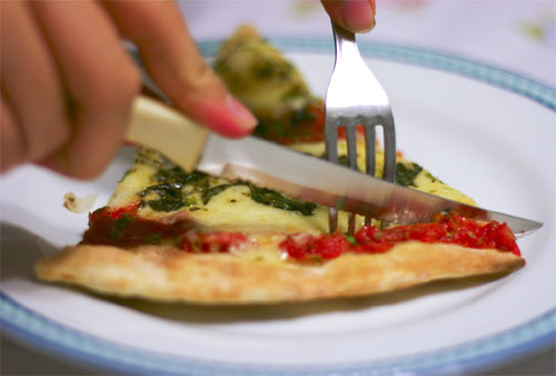 bacterias intestinales