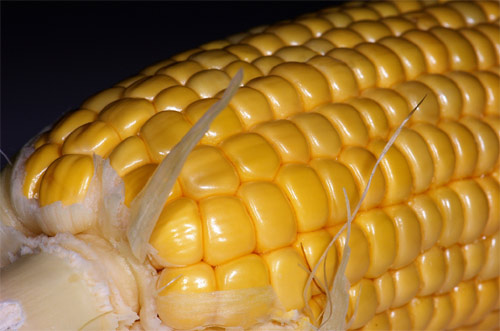 Precisiones sobre los alimentos transgénicos