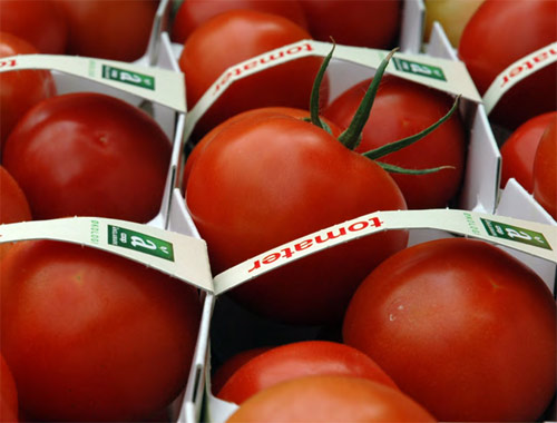 valores nutricionales en los alimentos orgánicos