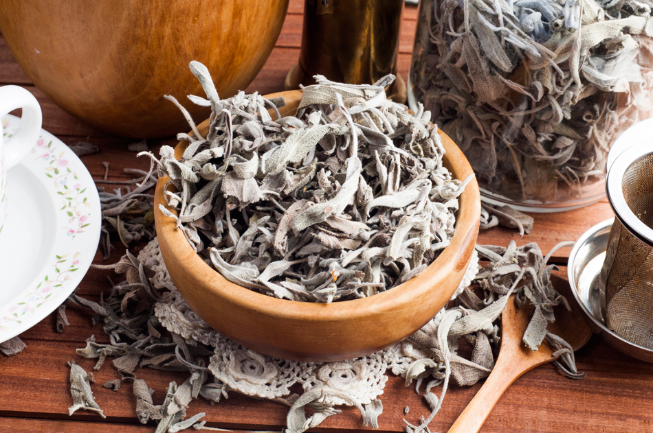 qué es el té blanco virgen