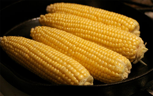 Debate sobre alimentos transgénicos