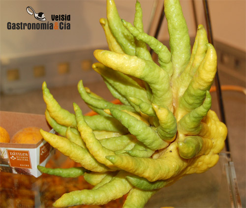 Citrus medica var. Sarcodactylus