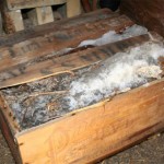 Mackinlay Ernest Shackleton