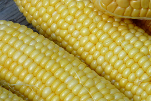 Comisión Europea Legislación sobre alimentos transgénicos