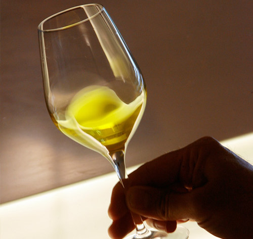 Descubre los mejores aceites de oliva virgen extra españoles