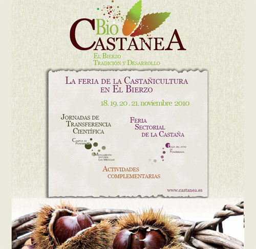 Feria de la Castaña en El Bierzo