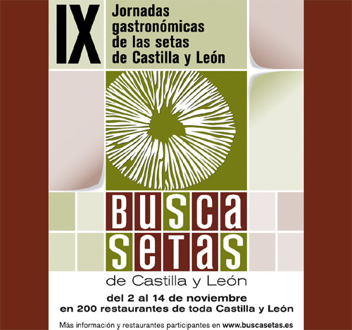 IX Jornadas gastronómicas de las setas de Castilla y León 
