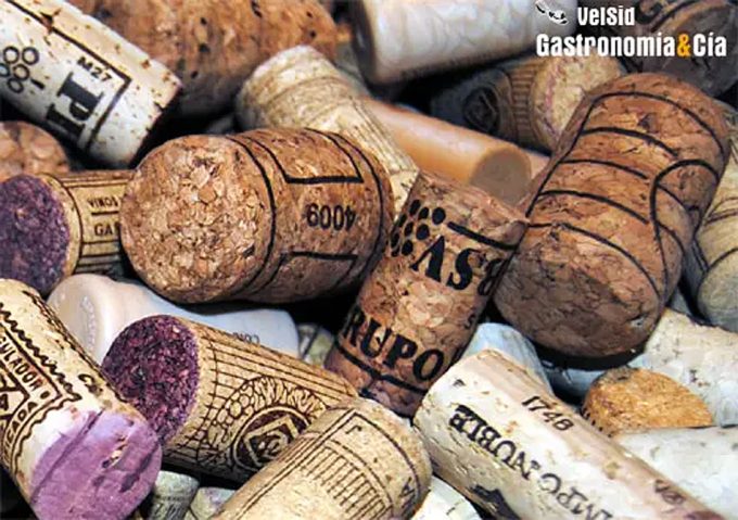 Hongos modificados genéticamente