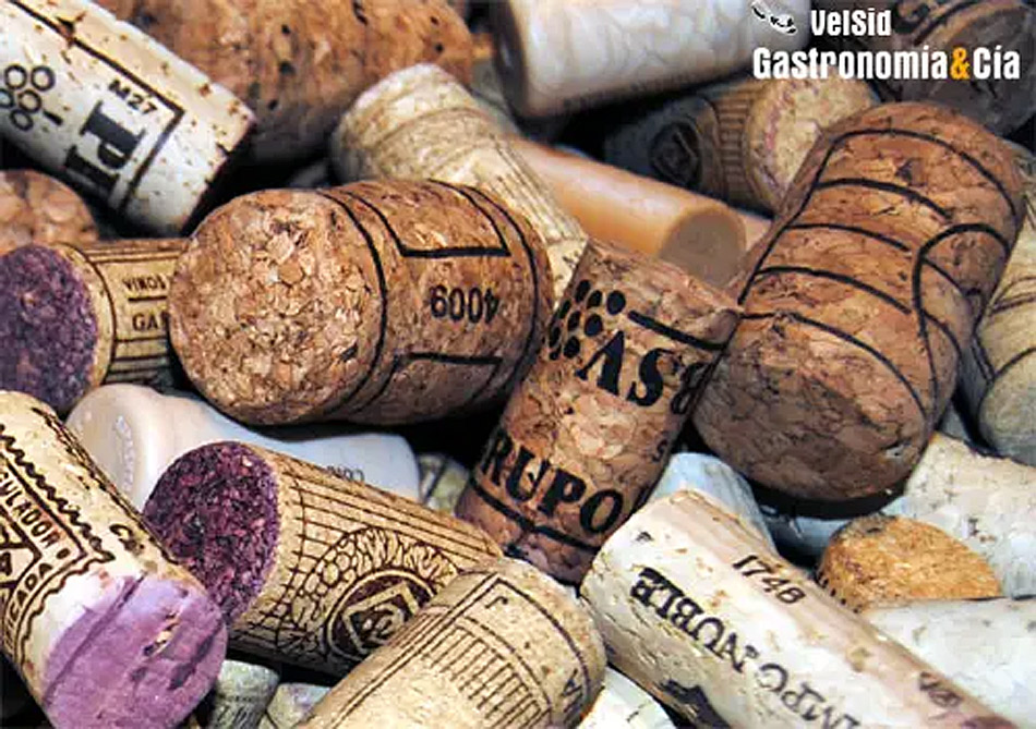 Hongos modificados genéticamente