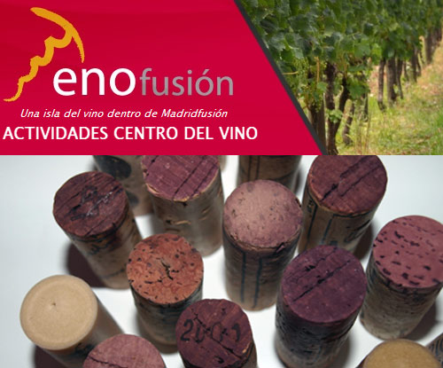 Programa Enofusión 2011 Madrid Fusión