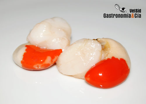 Chlamys opercularis o Aequipecte Opercularis