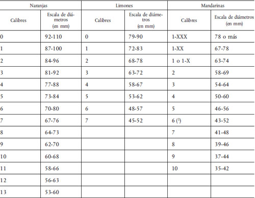 Tamaño de las naranjas