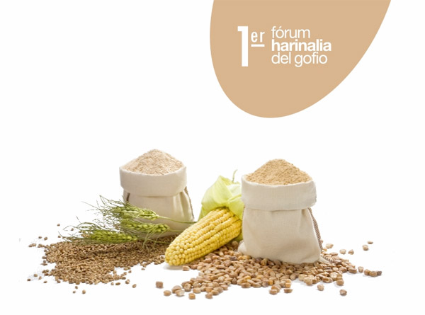 I Fórum del Gofio Grupo Harinalia
