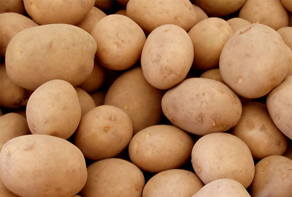 Precios de las patatas 2011