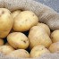 Patatas resistentes al cambio climático