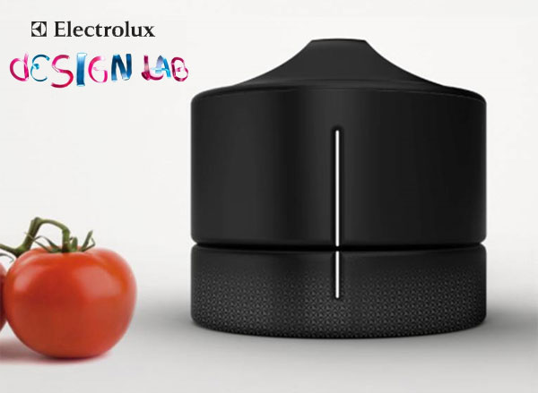 Electrolux Design Lab 2011 Termo frio-calor (dos en uno)