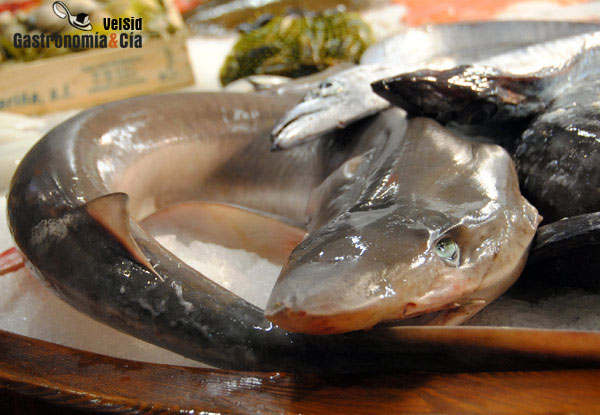 Metilmercurio en el pescado