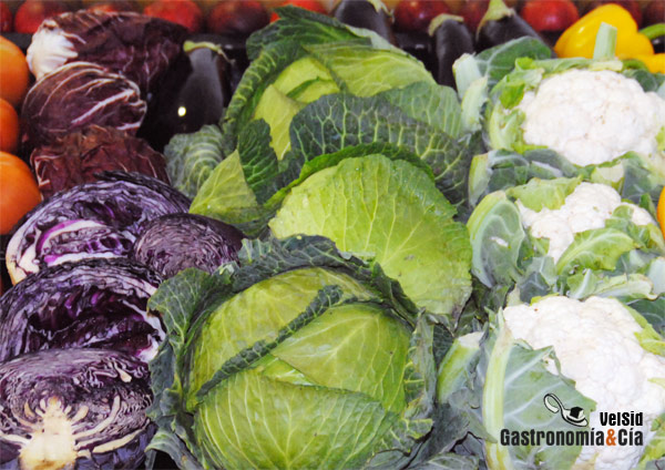 Índice de Precios en Origen y Destino de los alimentos IPOD Junio 2011