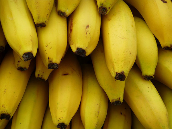 Plátanos de Canarias