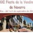 XXI Fiesta de la Vendimia de Navarra