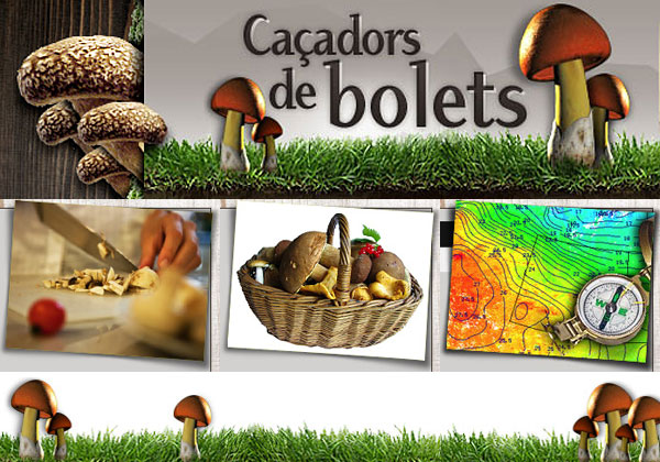 Cazador de setas 2011