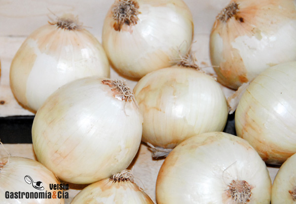 Indice de Precios Origen Destino