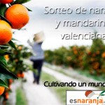 Cultivando un mundo mejor