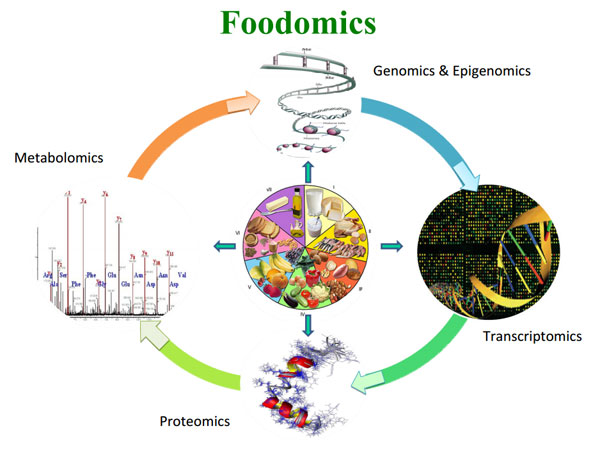 Estudio genético de la relación entre alimentación y enfermedades