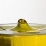 Extractos de aceite de oliva